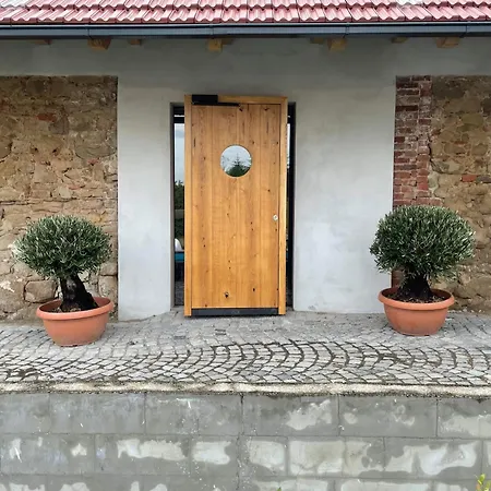 Boutique Zikmundov Gæstehus